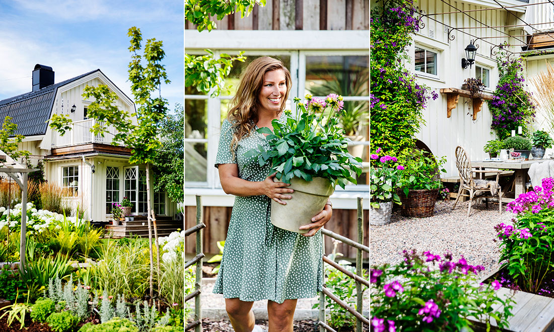 Så skapade paret ett trädgårdsparadis – på mindre än tre år 