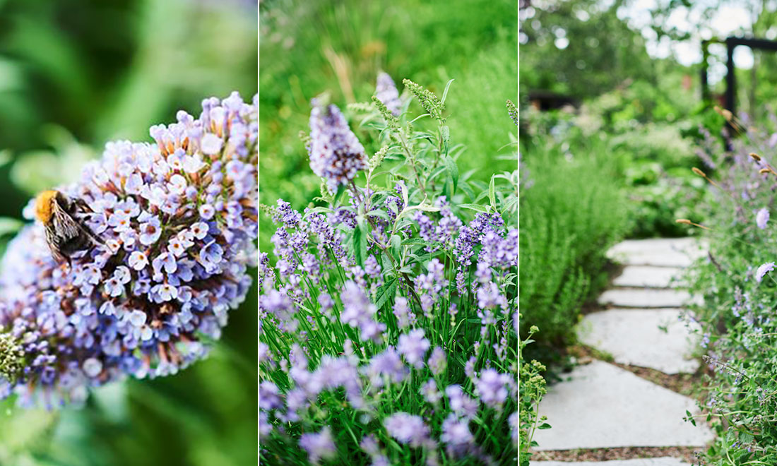 5 viktiga tips under Pollineringsveckan