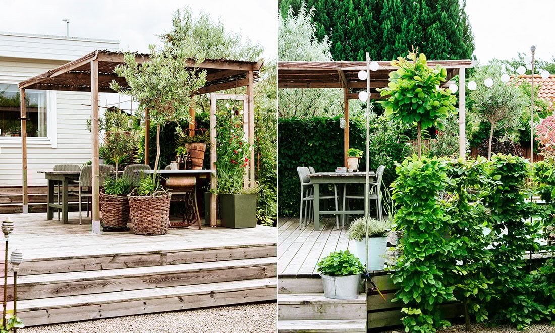 Inspireras av uteplatsen med pergola och vackra växter