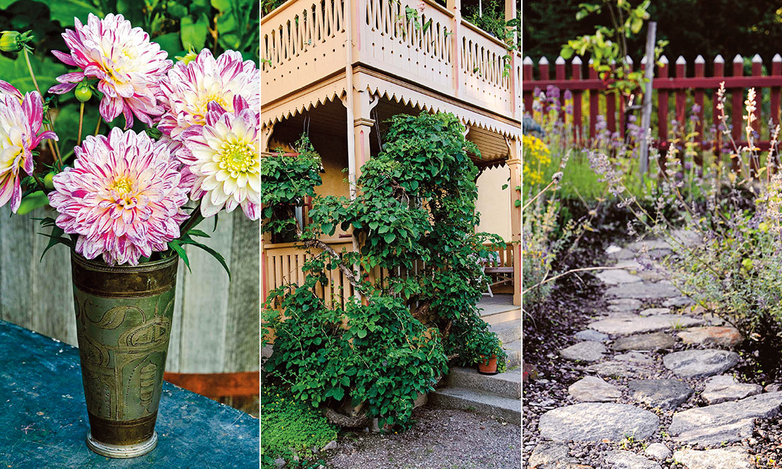 Därför ska du vårda din gamla trädgård