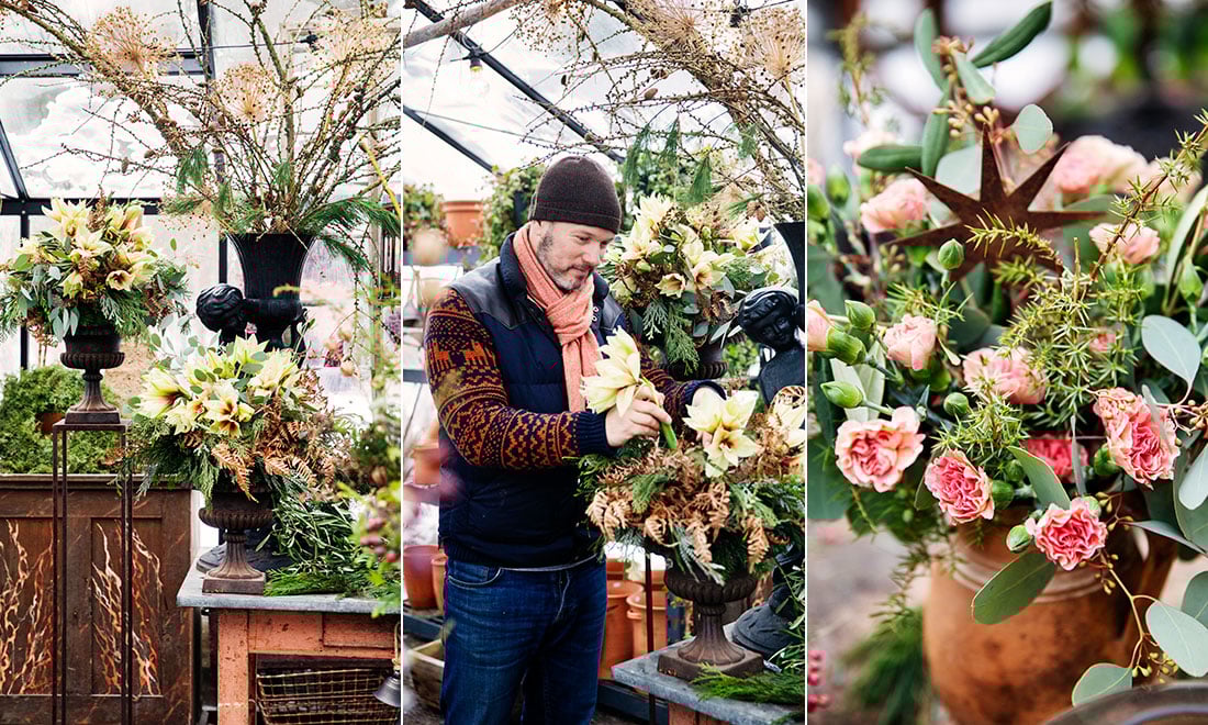 Vinterns vackraste växter – kika in och inspireras av Kniva trädgård