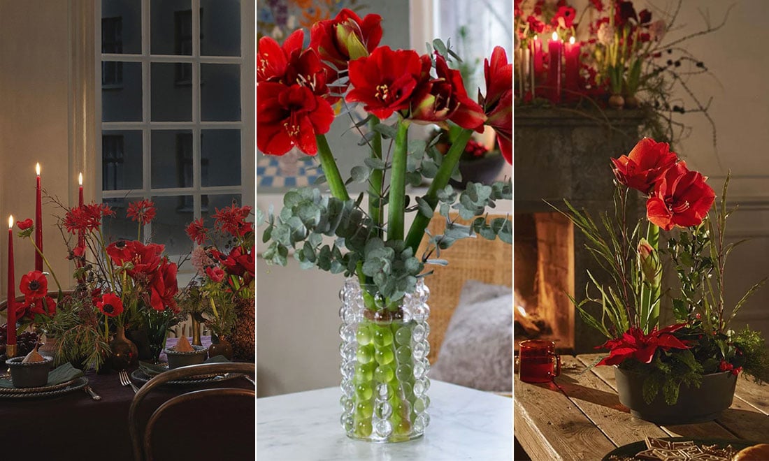 Duka snyggt med blommor på julbordet – floristen ger sina bästa tips