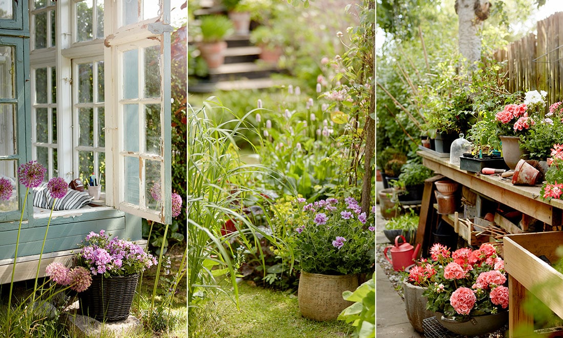 Så skapar du en lättskött trädgård – 15 tips