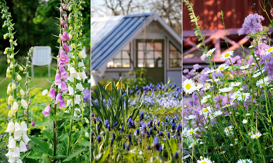 10 goda råd om växter som sprider sig