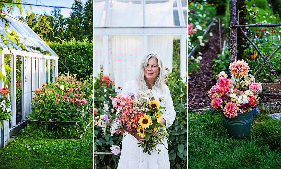 Hanna Wendelbo: ”Sedan jag fick en trädgård vältrar jag mig i blomsterprakt”