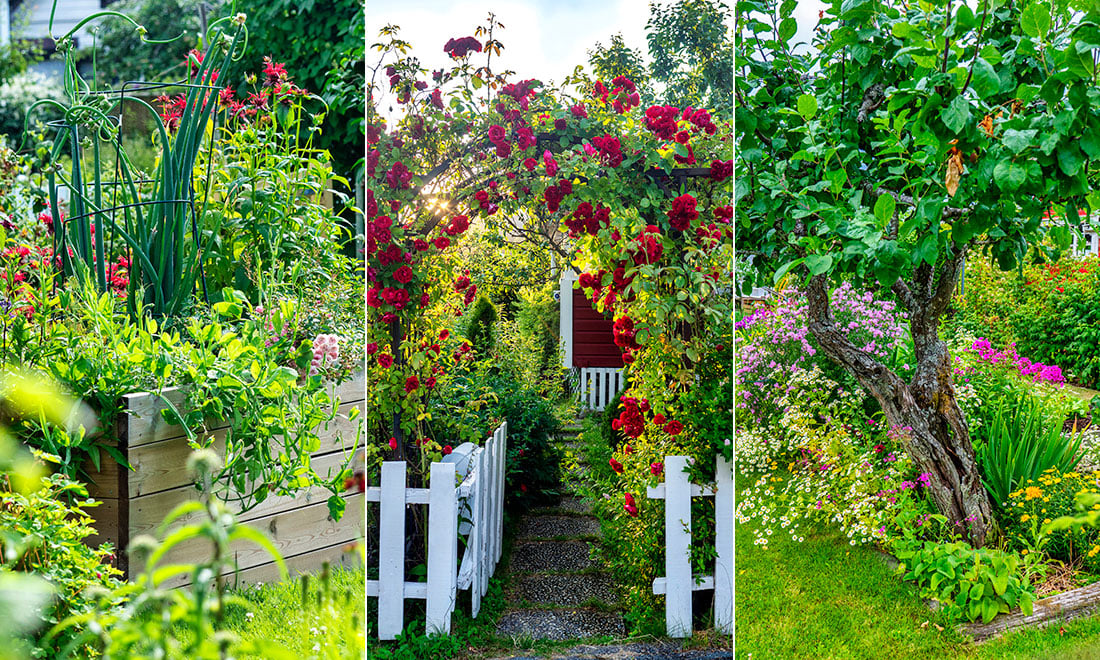 Frodig och blomstrande trädgård – 7 vackra planteringar som gör jobbet