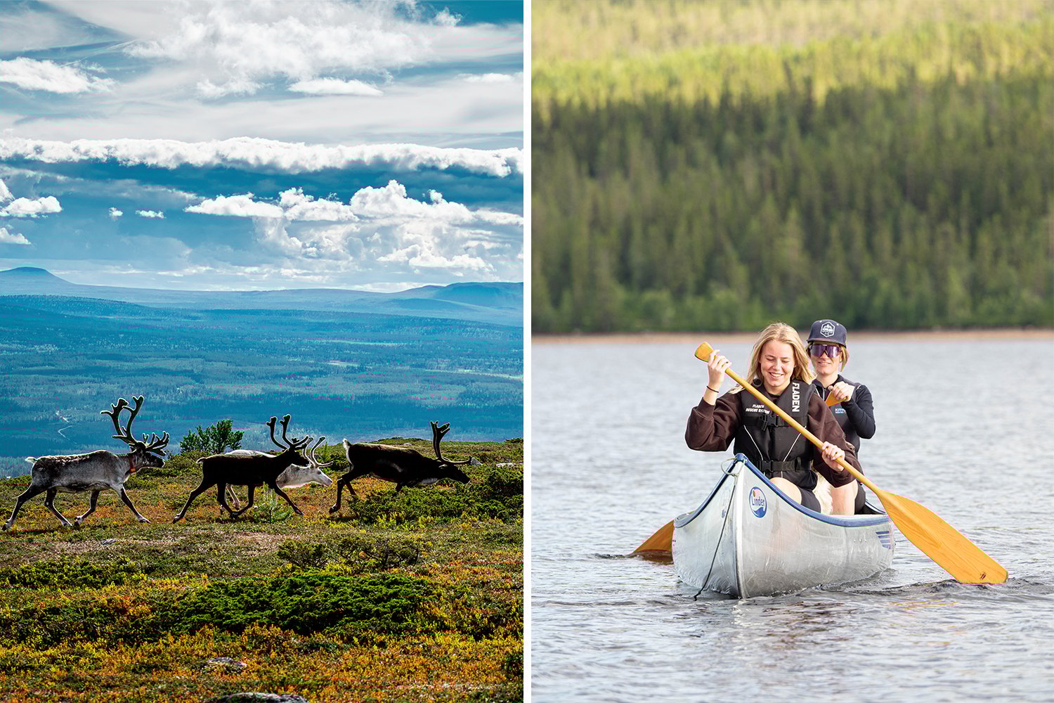 Sommarkänslor på fjället – upptäck Lofsdalen