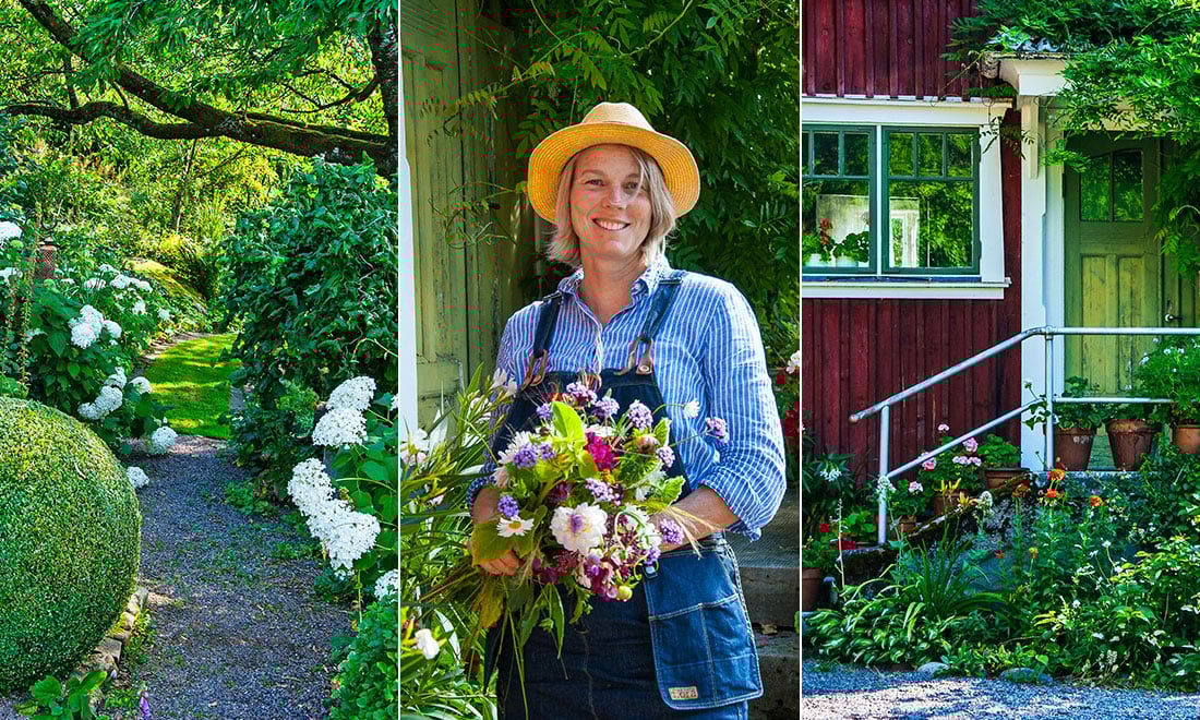Trädgårdsexperten: Så skapar du en vacker trädgård året om