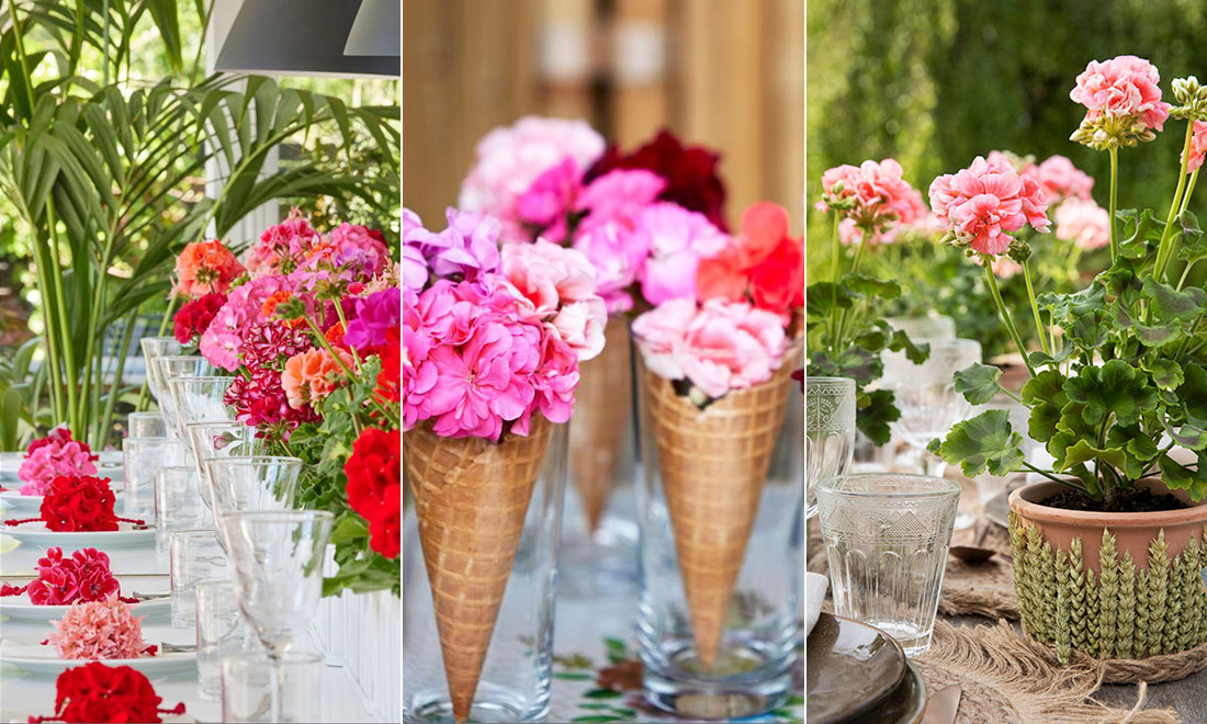 Sätt färg på dukningen med pelargoner – 5 fina idéer