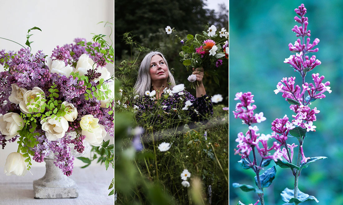 Få syrenbuketten att hålla längre – inspireras av Hanna Wendelbos smarta trick