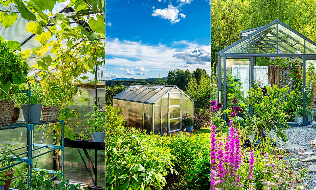 10 viktiga råd till dig som ska köpa växthus