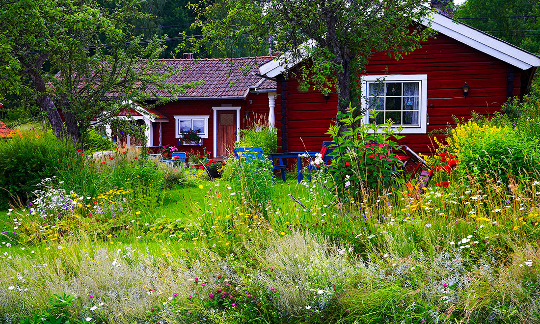 Så skapar du en vild trädgård – expertens bästa tips