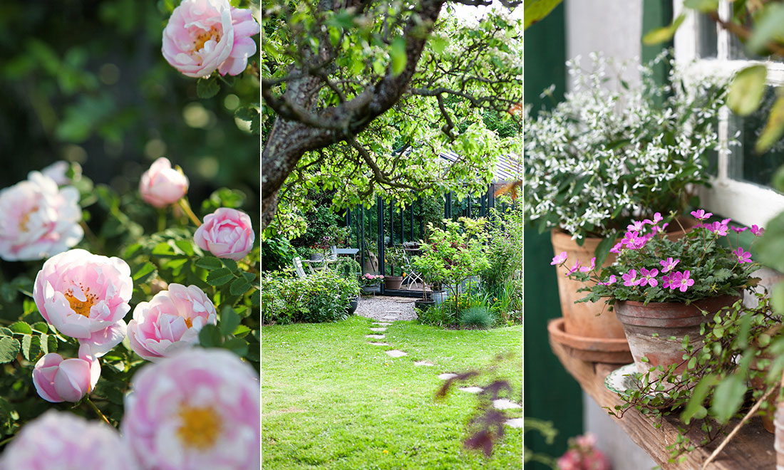 15 enkla och konkreta tips för en lättskött trädgård