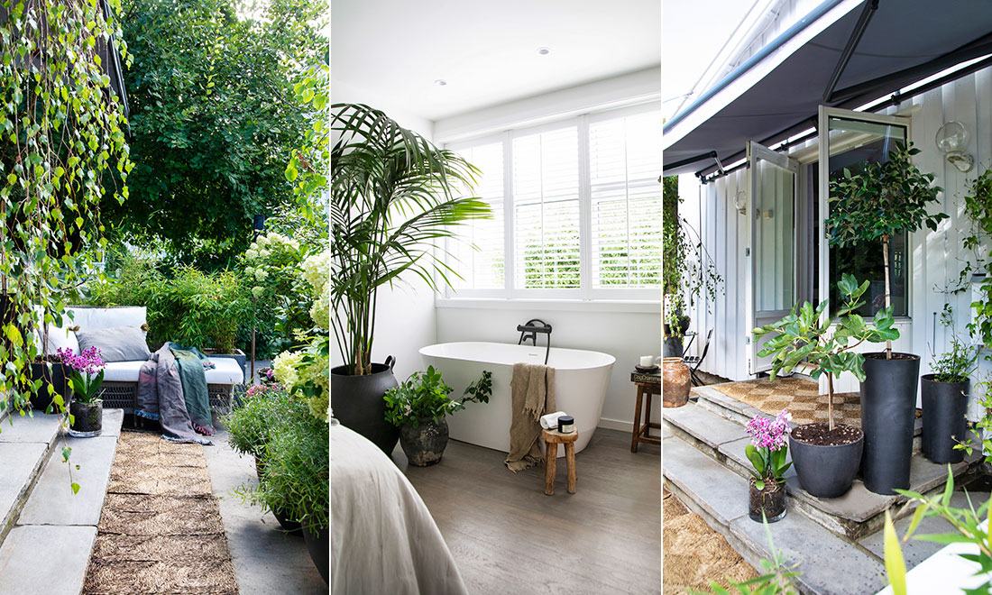 Inspireras av oasen på bara 54 kvadrat: ”Känner att trädgårdspyssel är rena terapin”