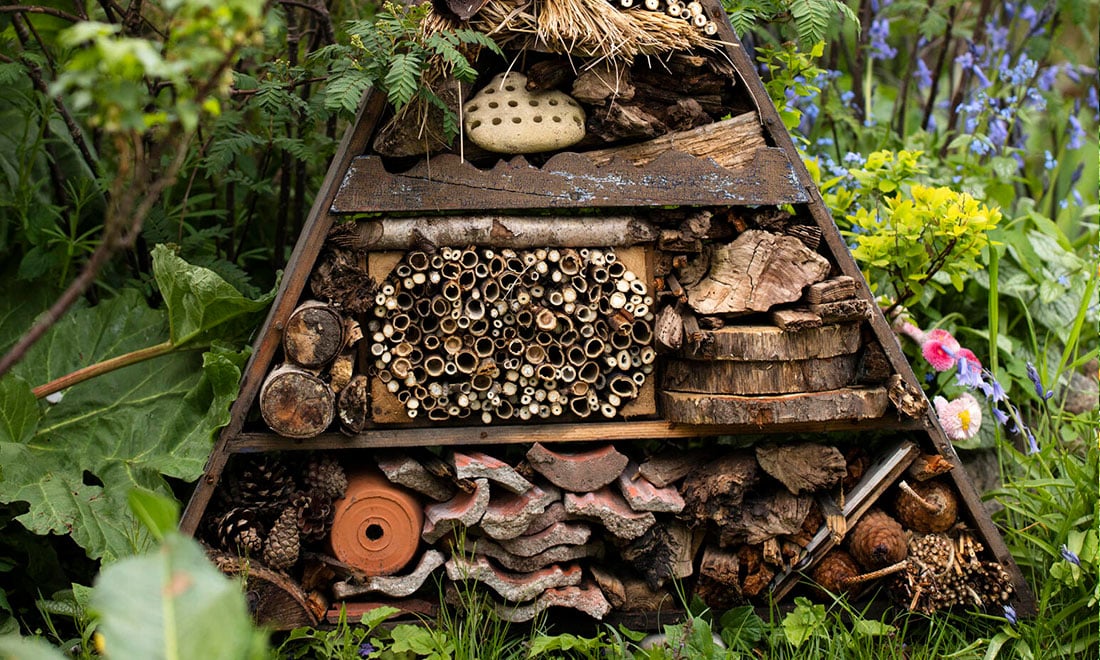 Så bygger du ett eget insektshotell – steg för steg