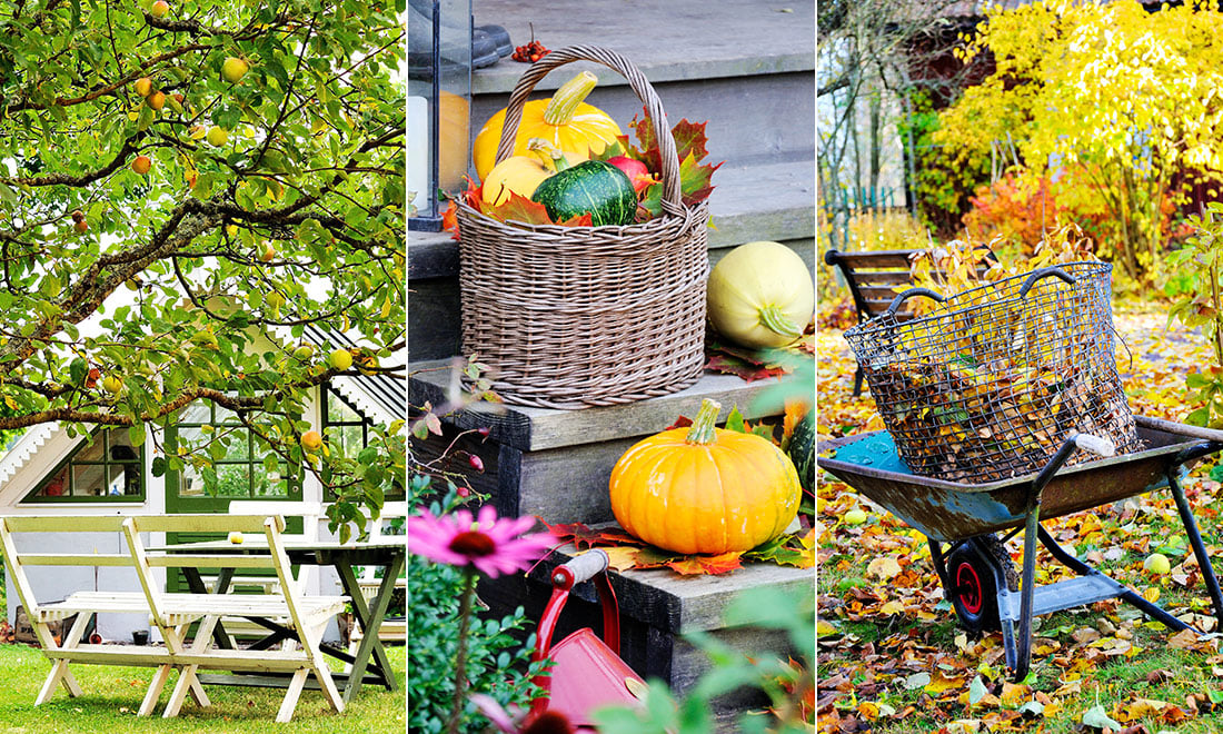 Höstfixa i trädgården – 6 trädgårdssysslor i september och oktober