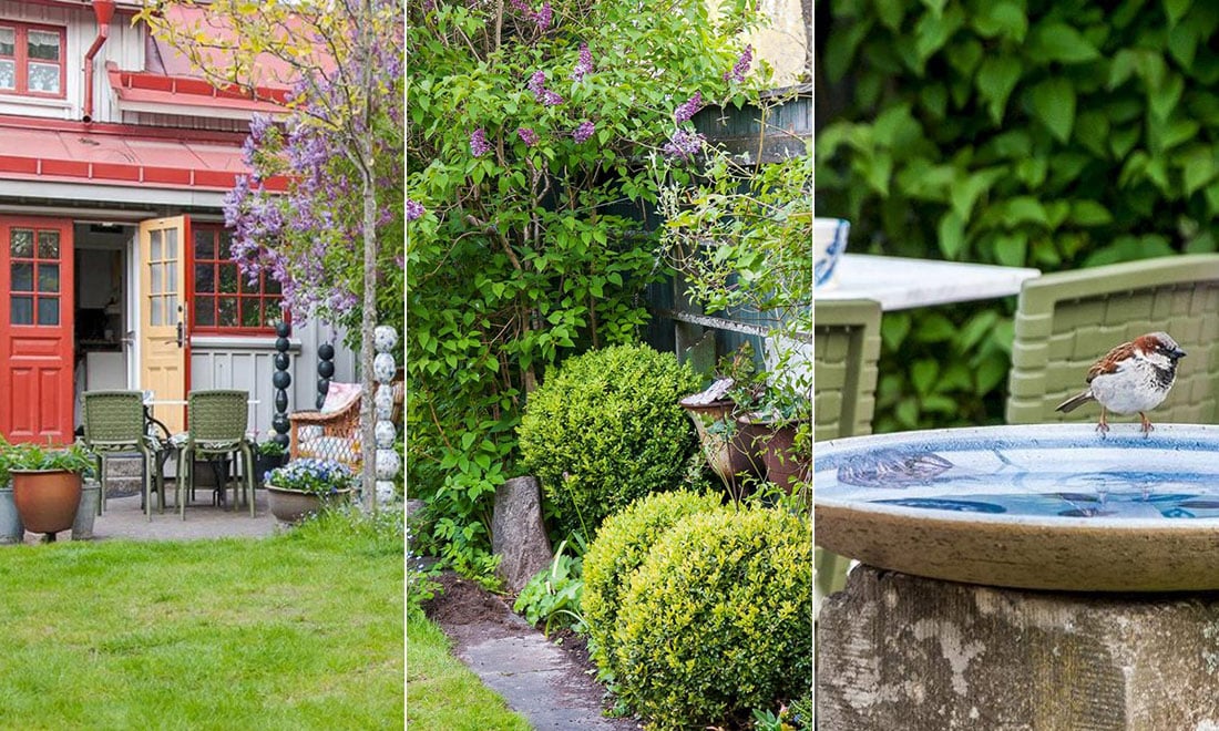 Drömträdgård på bara 200 kvadrat – så planerar du en liten trädgård