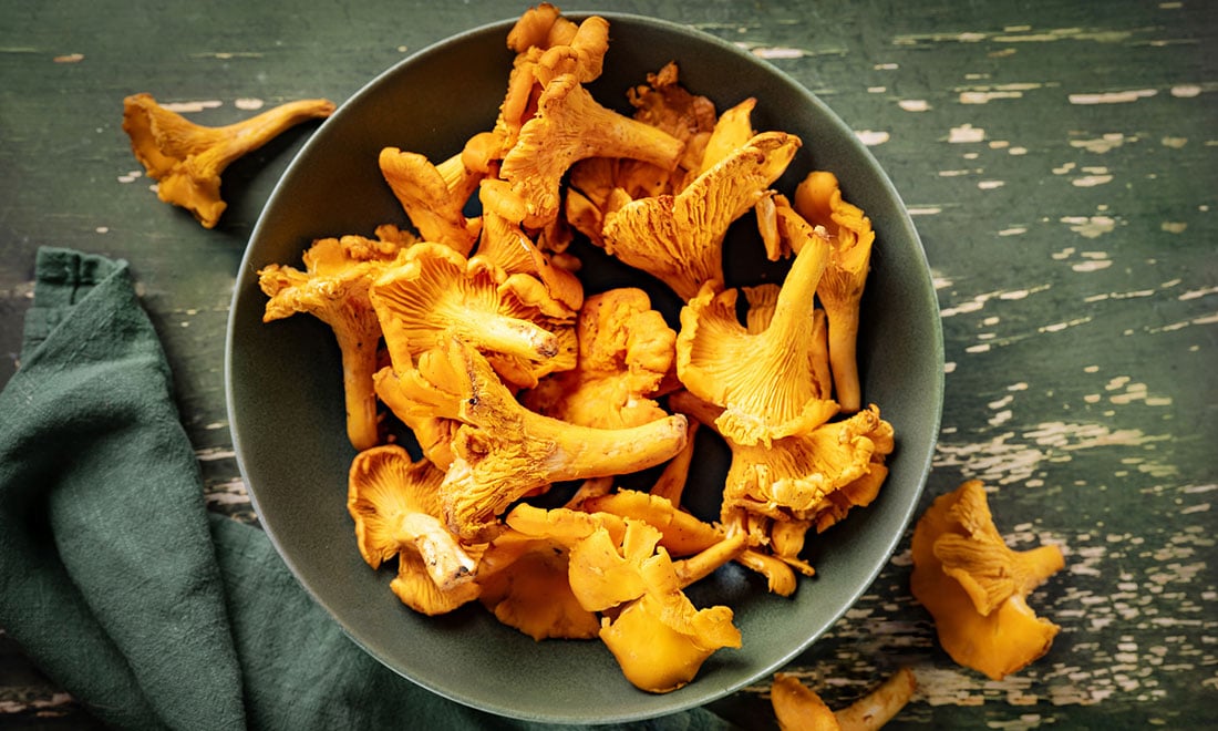 Rensa svamp snabbt och enkelt – två superknep!