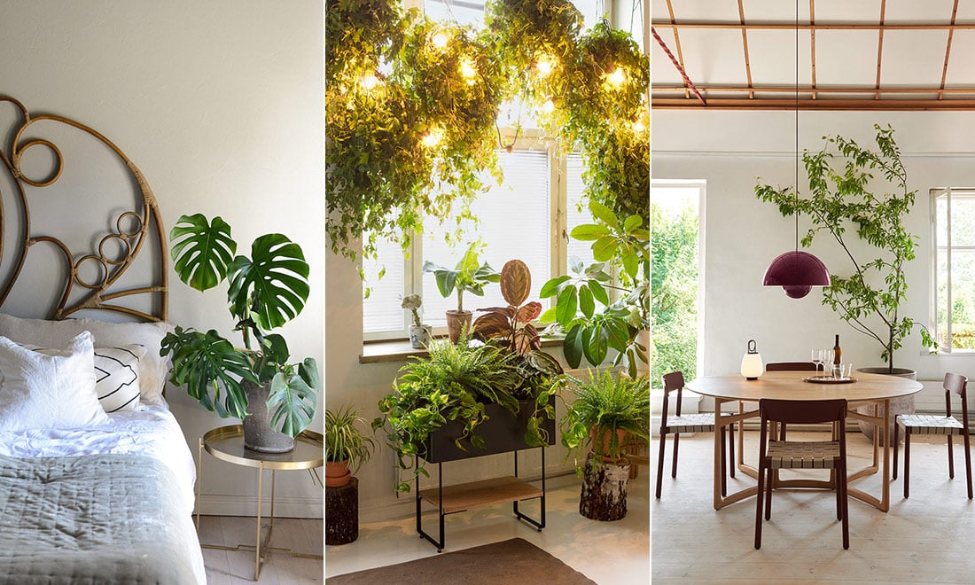Inred med växter – 8 fina idéer att inspireras av