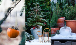 Ljuslykta av is, fågelmat i apelsin och ljuslyktor i snö.