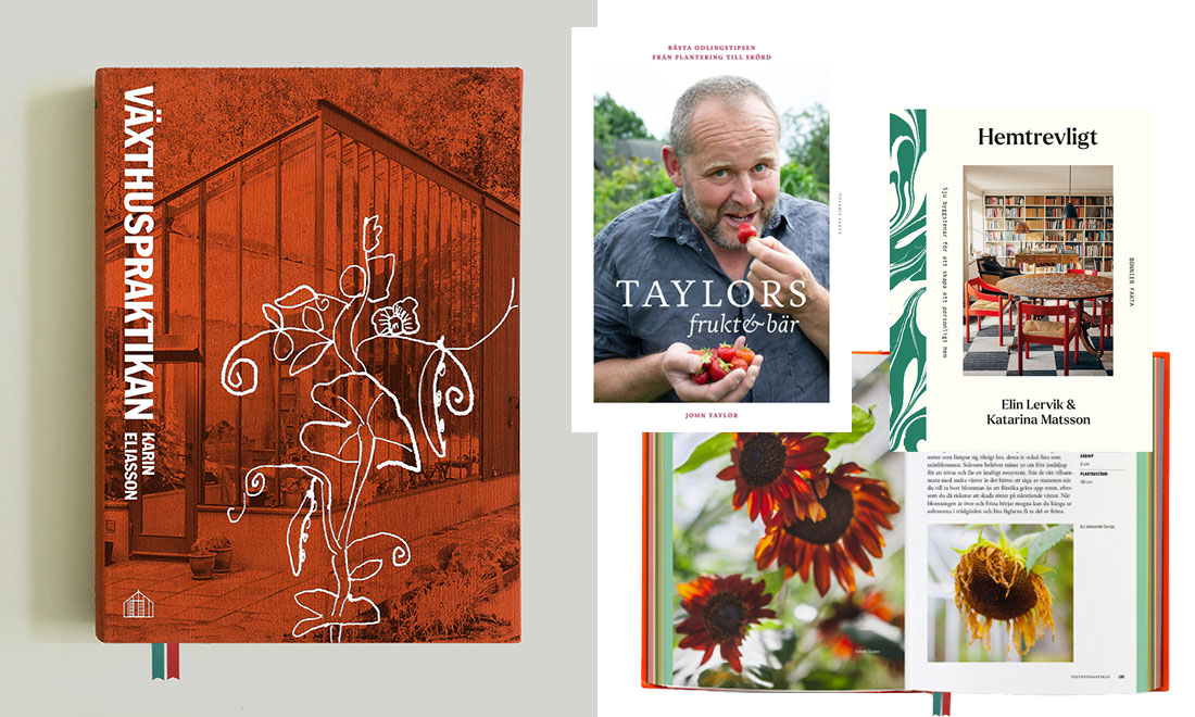 Julklappstips: 5 böcker som passar under granen