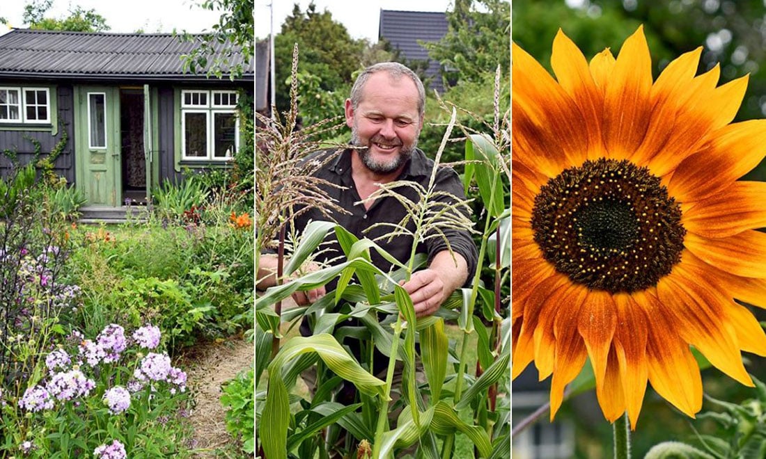 Kika in i programledaren John Taylors kolonilott: “Det är här jag laddar mina batterier”