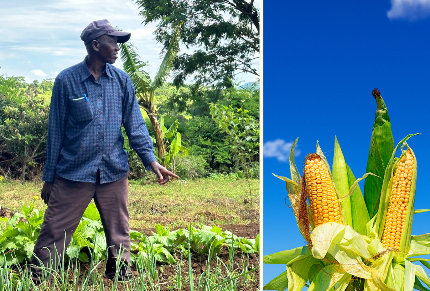 Utbildar inom odling – så att fler ska kunna äta sig mätta