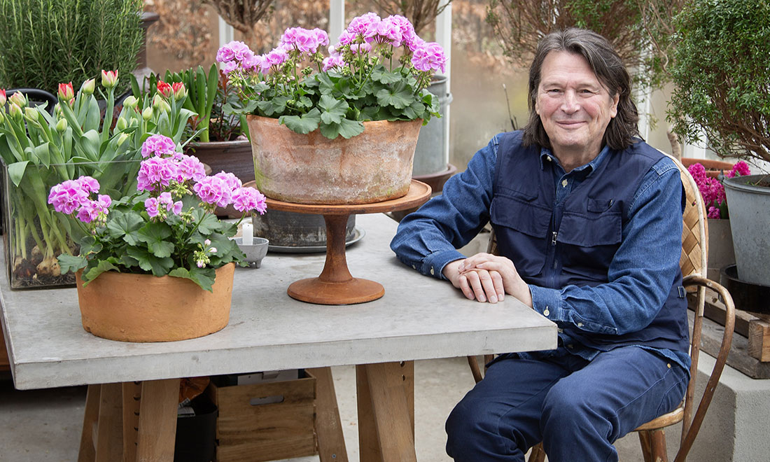 Här är årets pelargon 2024 – och så sköter du den!