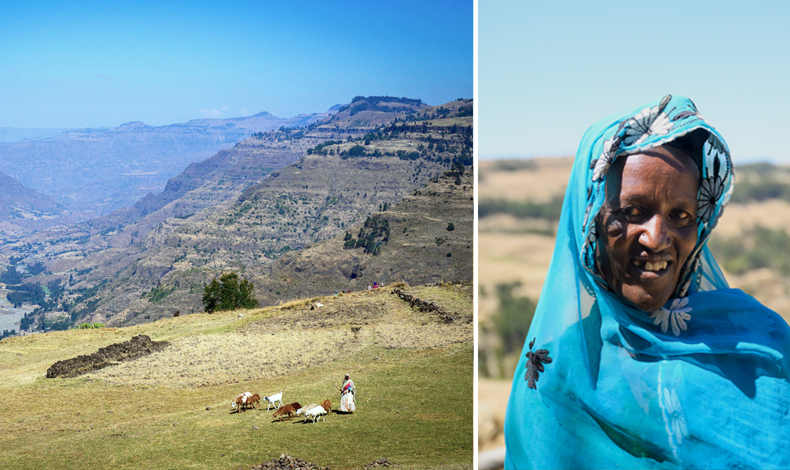 Projekt ger hopp i Etiopien – nu kan Abezu försörja familjen