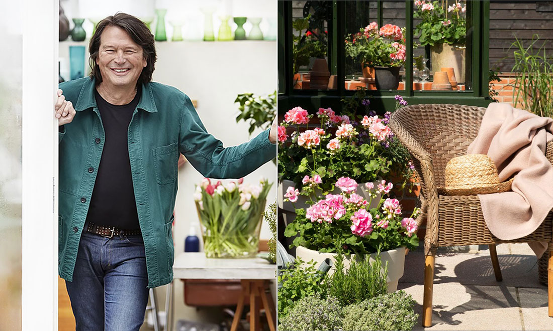 Svante Öquist presenterar årets pelargon: ”Inser hur vacker den egentligen är”