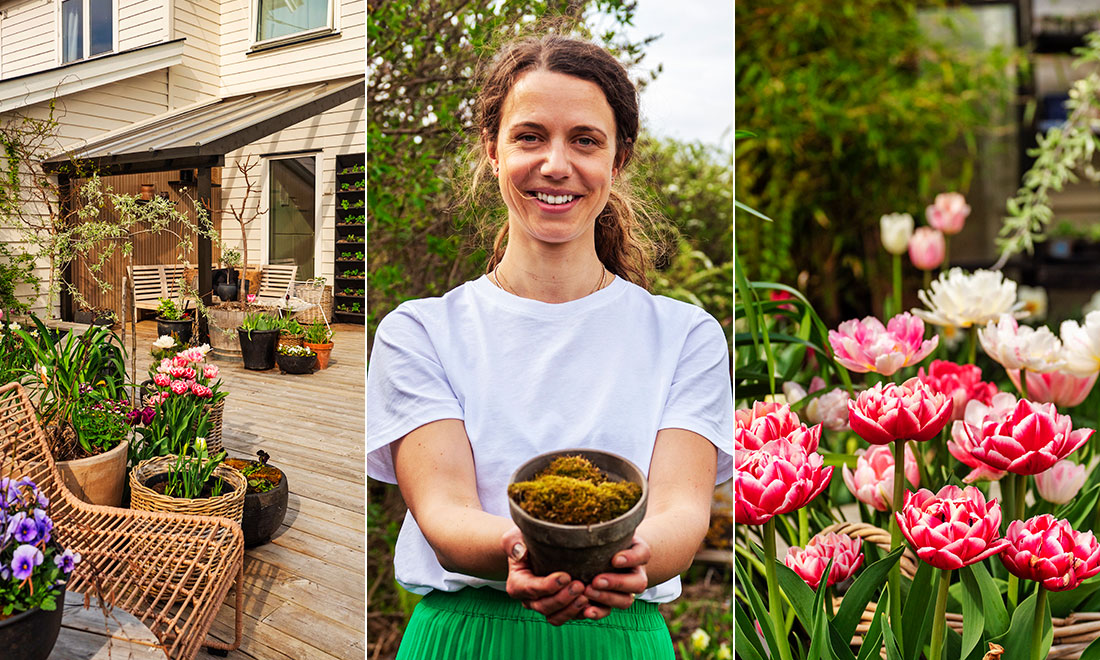 Therese skapade en grönskande trädgård som kräver minimal skötsel – kika in