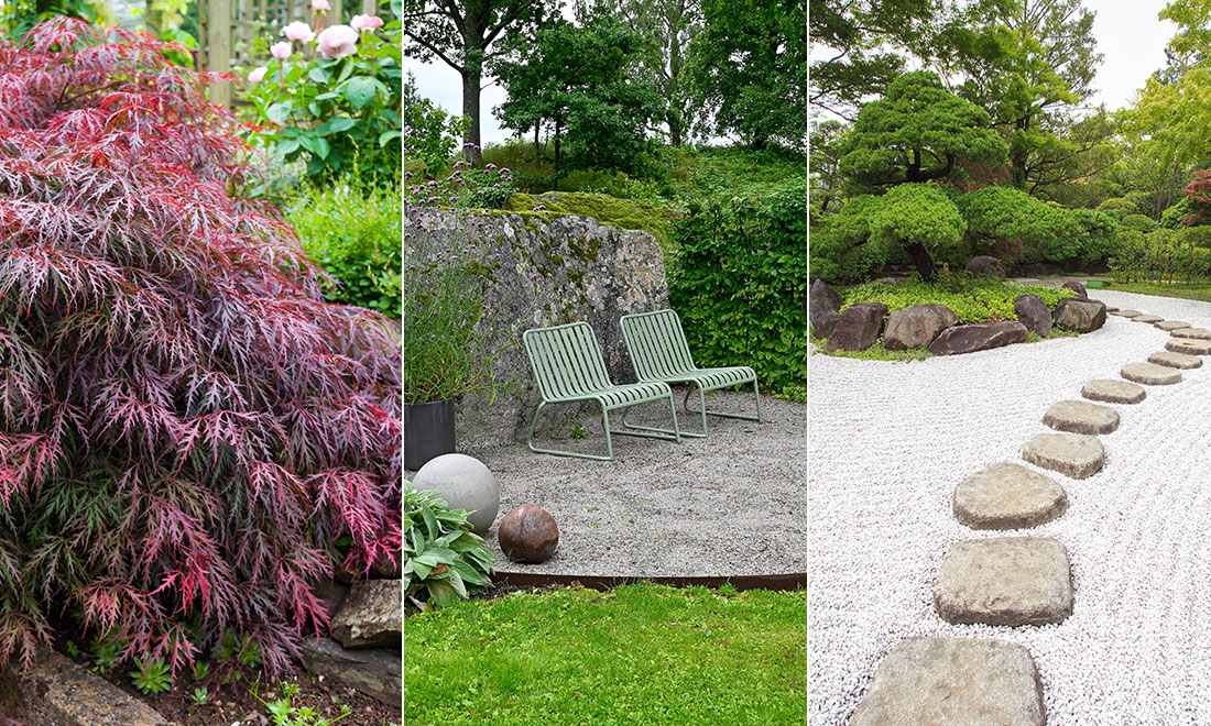 Så skapar du en vacker trädgård i japandi-stil – 7 tips!