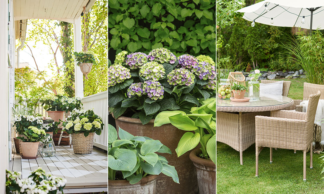 Så skapar du en trädgård i klassisk stil – 6 tips