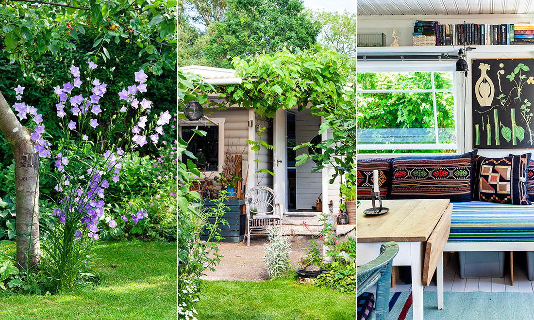 Tore förvandlade kolonilotten till en lummig idyll: ”Fick en smärre chock”