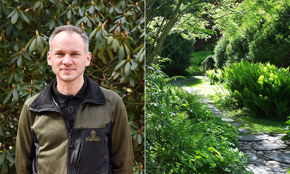 Trädgårdsmästaren Olof Green guidar under Hus & Hems trädgårdsdag: ”Visar upp blomsterprakt”