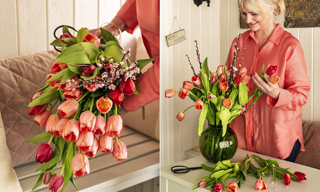 Expertens råd för finare tulpaner: ”Finns i många färger”