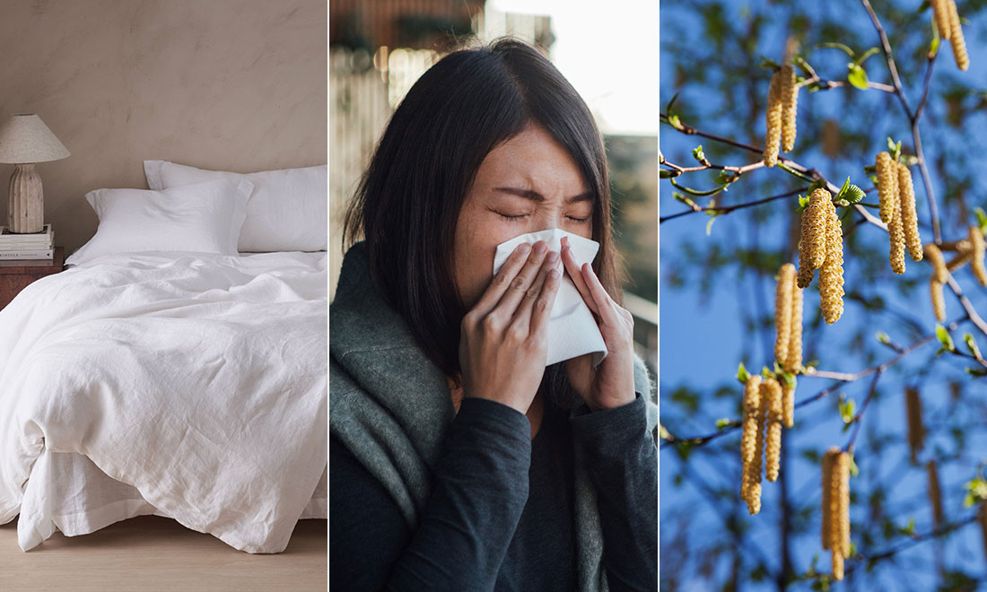Pollensäkra hemmet – 7 saker att göra för att minska pollen inomhus