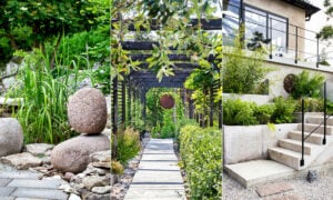 Asiatisk trädgård.