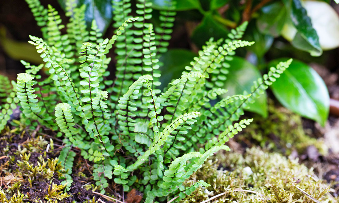 5 smarta lösningar som gör trädgårdsarbetet lättare