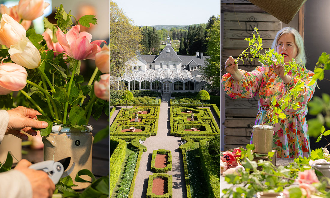 Se bilderna från Trädgårdsdagen 2024!