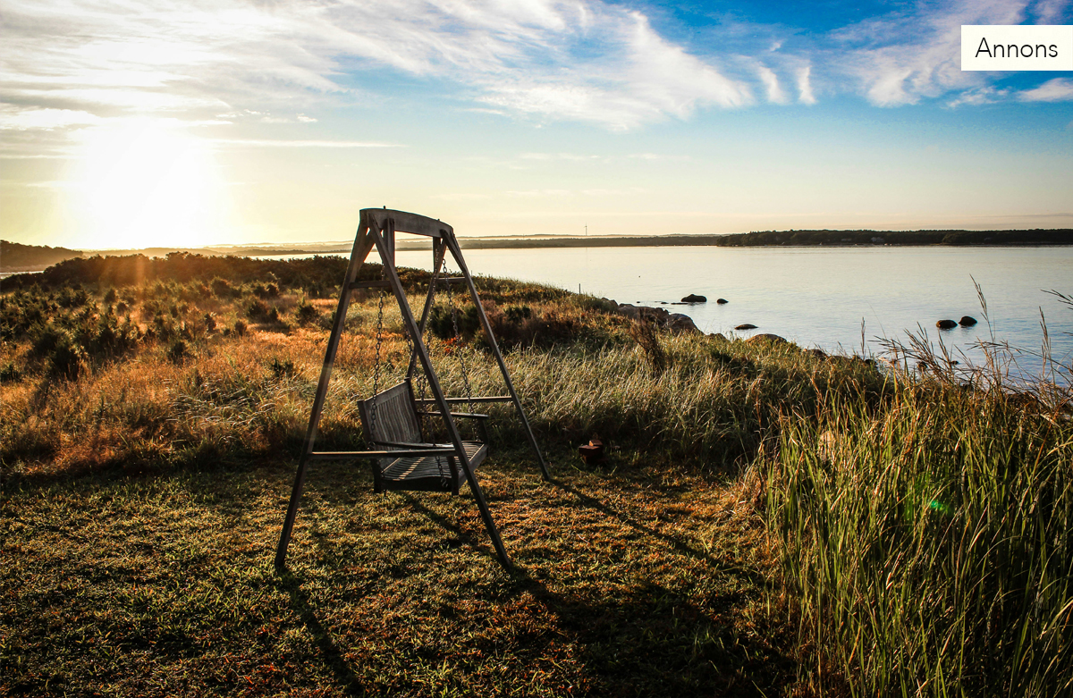 Årets sportsommar bjuder på perfekt spänning för hammocken