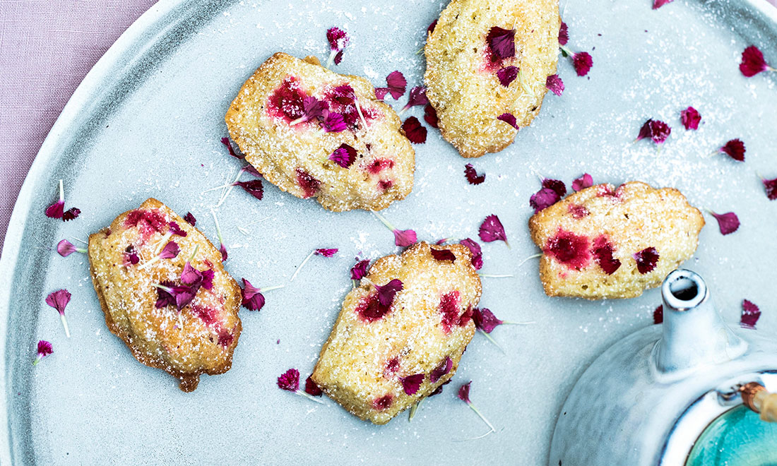 Recept: Madeleinekakor med borstnejlika