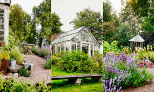 Trädgård i Dalarna.