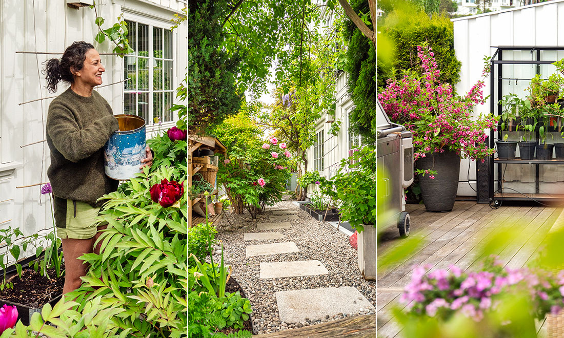 Kika in i den lilla trädgården på 150 kvadrat: ”Jag blir helt enkelt sjuk när mina växter blir sjuka”