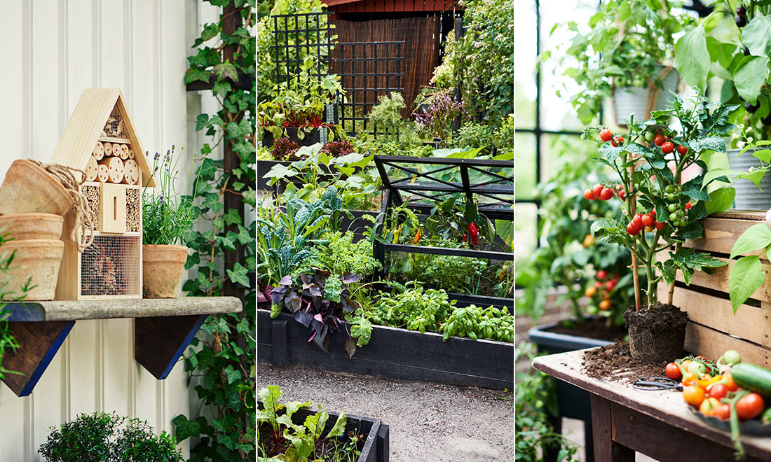Skapa en jordnära trädgård i harmoni med naturen – 7 smarta tips
