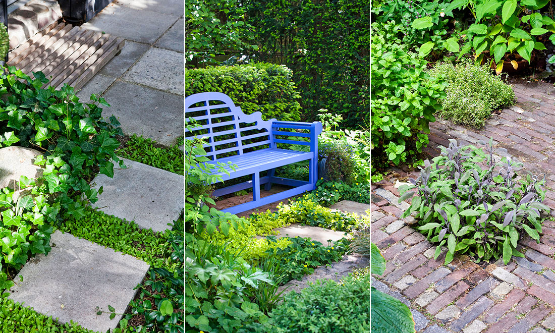 Odla i trädgårdens springor och glipor – slipp ogräs