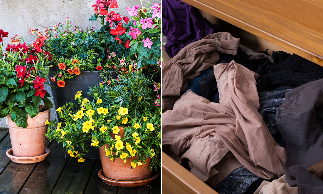 Lägg strumpbyxor i blomkrukorna – därför är det en bra idé