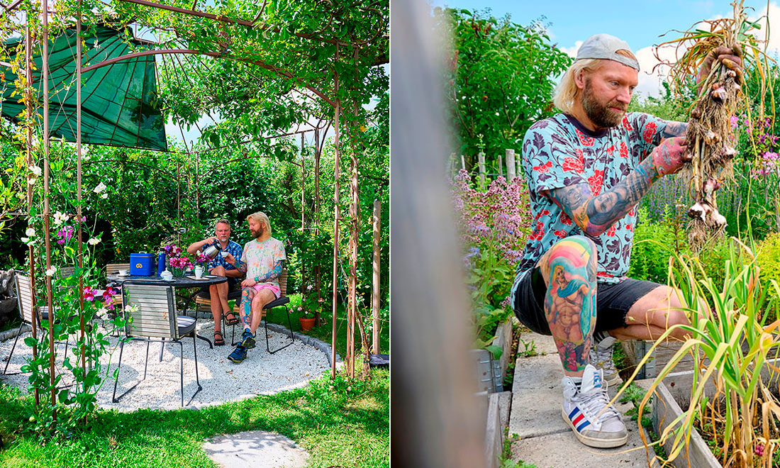 Rickard Söderberg visar upp sin kolonilott: ”Jag vill inte ha en prydlig trädgård”