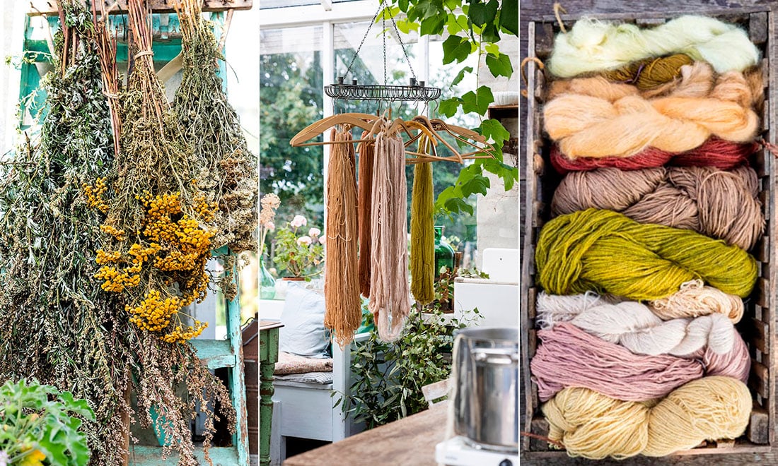 Färga garn med växter – så gör du!