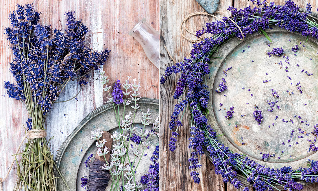 5 fina tips på hur du kan bevara din lavendel